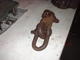 a333971-Mi Shackle.jpg